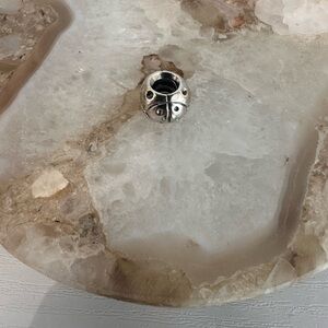 Pandora ladybug charm